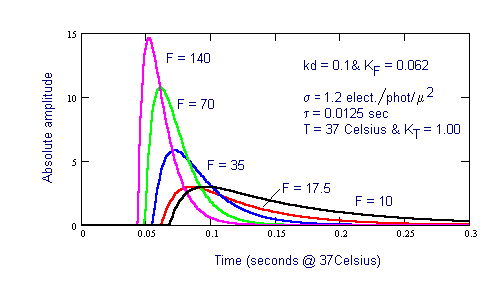 Photoexcitation/De-excitation mechanism showing time constants 